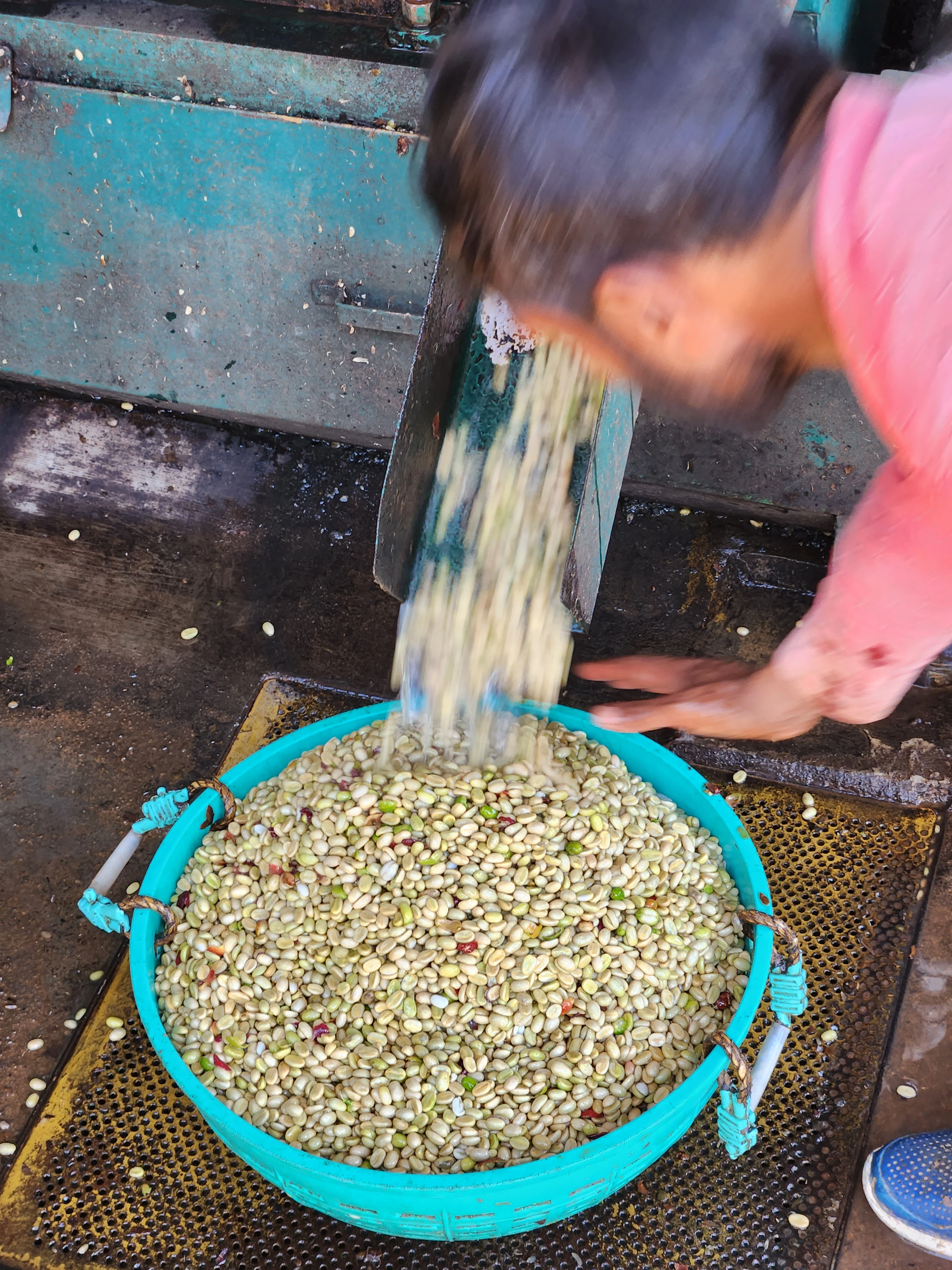 Pulping and Washing